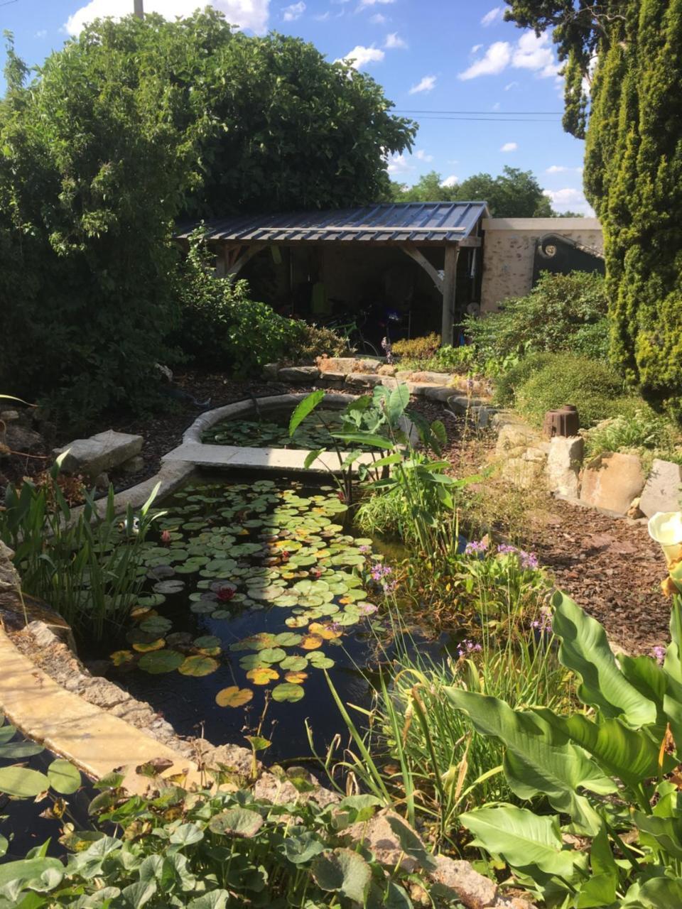 Maison D'Hotes Les Rainettes Breuillet  Zewnętrze zdjęcie